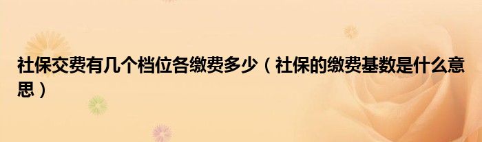 社保交费有几个档位各缴费多少(社保的缴费基数是什么意思)