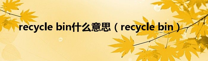 recycle bin什么意思(recycle bin)
