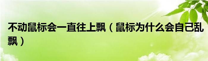 不动鼠标会一直往上飘(鼠标为什么会自己乱飘)