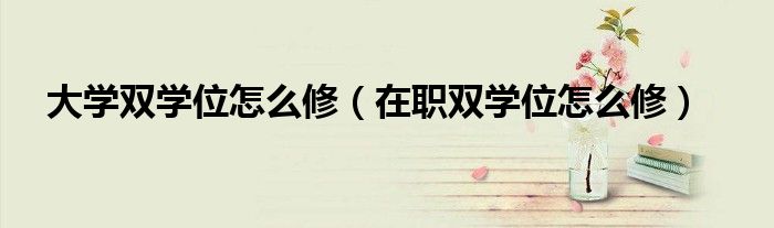 大学双学位怎么修(在职双学位怎么修)