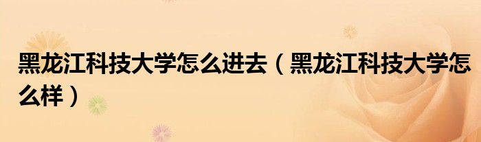 黑龙江科技大学怎么进去(黑龙江科技大学怎么样)