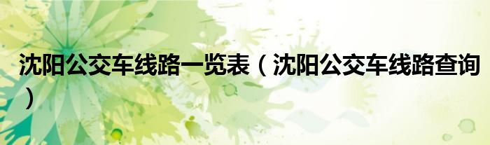 沈阳公交车线路一览表(沈阳公交车线路查询)