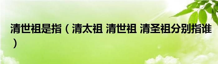 清世祖是指(清太祖 清世祖 清圣祖分别指谁)