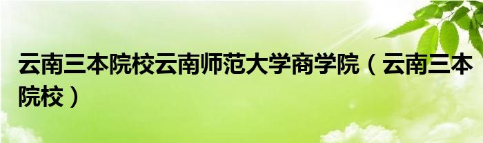 云南三本院校云南师范大学商学院（云南三本院校）