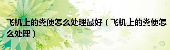 飞机上的粪便怎么处理最好(飞机上的粪便怎么处理)