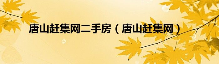唐山赶集网二手房(唐山赶集网)