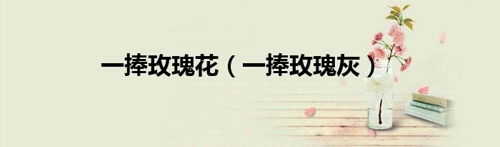 一捧玫瑰花（一捧玫瑰灰）