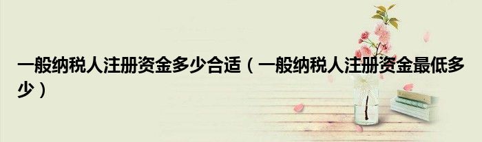 一般纳税人注册资金多少合适(一般纳税人注册资金最低多少)