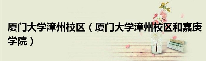 厦门大学漳州校区（厦门大学漳州校区和嘉庚学院）