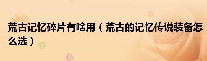 荒古记忆碎片有啥用(荒古的记忆传说装备怎么选)