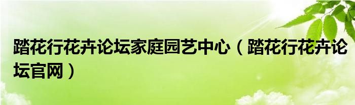 踏花行花卉论坛家庭园艺中心(踏花行花卉论坛官网)