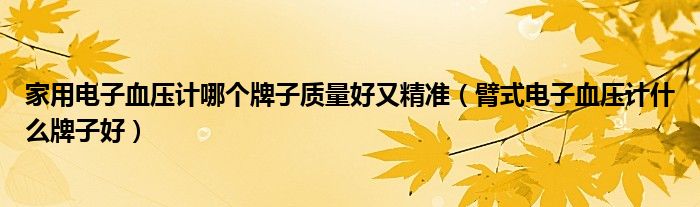 家用电子血压计哪个牌子质量好又精准(臂式电子血压计什么牌子好)