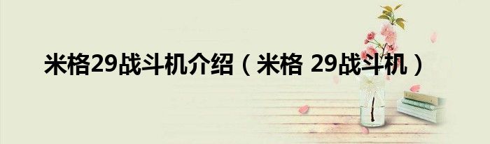 米格29战斗机介绍(米格 29战斗机)