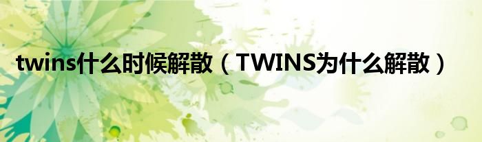 twins什么时候解散(TWINS为什么解散)