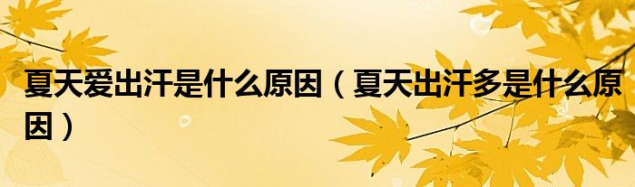 夏天爱出汗是什么原因(夏天出汗多是什么原因)