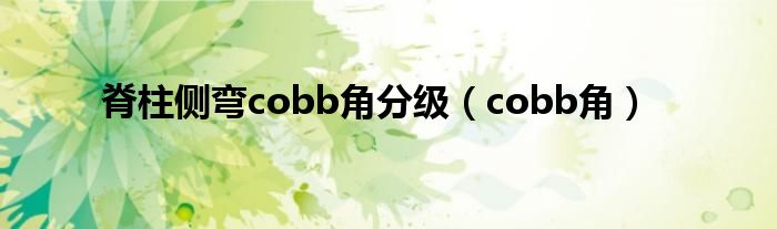 脊柱侧弯cobb角分级(cobb角)