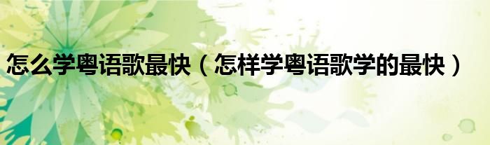 怎么学粤语歌最快(怎样学粤语歌学的最快)