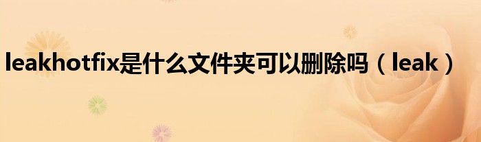 leakhotfix是什么文件夹可以删除吗(leak)