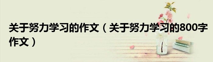 关于努力学习的作文(关于努力学习的800字作文)