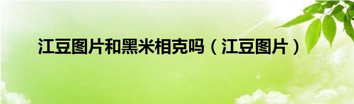 江豆图片和黑米相克吗(江豆图片)