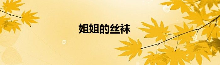 姐姐的丝袜