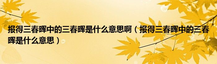 报得三春晖中的三春晖是什么意思啊(报得三春晖中的三春晖是什么意思)