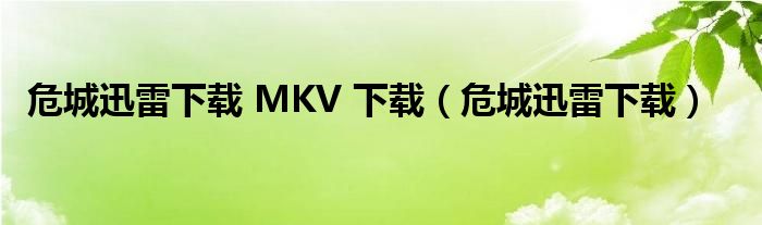 危城迅雷下载 MKV 下载(危城迅雷下载)