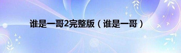 谁是一哥2完整版(谁是一哥)