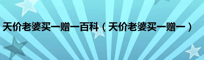 天价老婆买一赠一百科(天价老婆买一赠一)