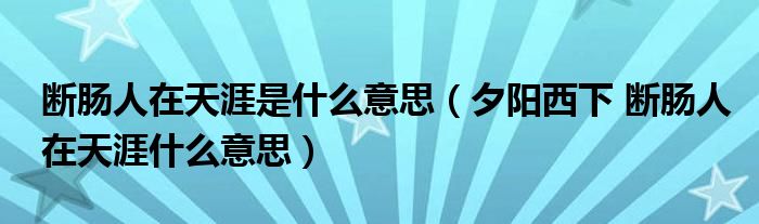 断肠人在天涯是什么意思(夕阳西下 断肠人在天涯什么意思)