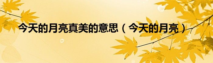 今天的月亮真美的意思(今天的月亮)