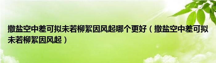 撒盐空中差可拟未若柳絮因风起哪个更好(撒盐空中差可拟未若柳絮因风起)