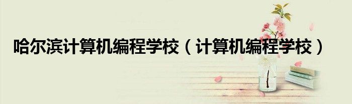 哈尔滨计算机编程学校(计算机编程学校)