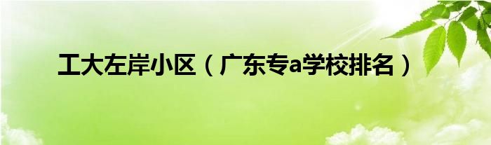 工大左岸小区(广东专a学校排名)