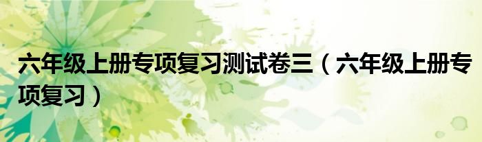 六年级上册专项复习测试卷三（六年级上册专项复习）