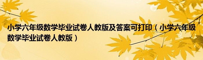 小学六年级数学毕业试卷人教版及答案可打印(小学六年级数学毕业试卷人教版)