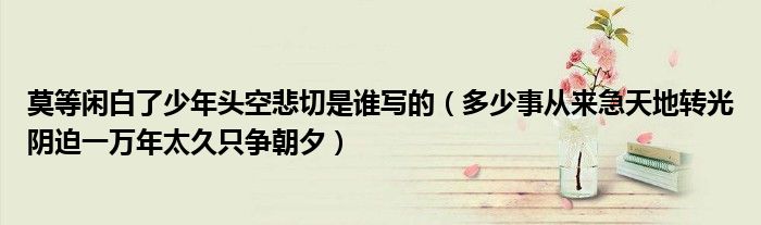 莫等闲白了少年头空悲切是谁写的(多少事从来急天地转光阴迫一万年太久只争朝夕)