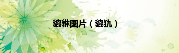 貔貅图片（貔犰）