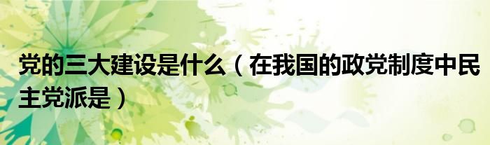 党的三大建设是什么(在我国的政党制度中民主党派是)