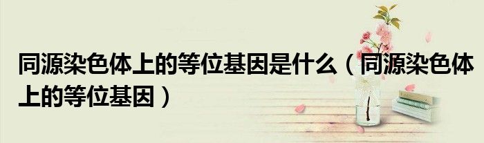 同源染色体上的等位基因是什么(同源染色体上的等位基因)