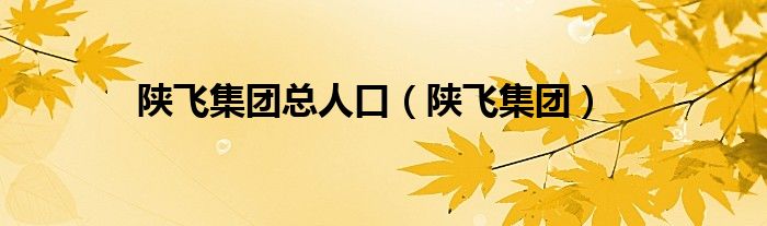 陕飞集团总人口(陕飞集团)