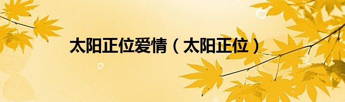太阳正位爱情（太阳正位）