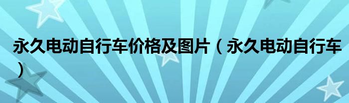 永久电动自行车价格及图片(永久电动自行车)