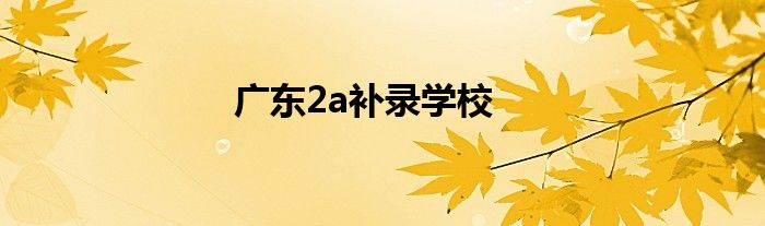 广东2a补录学校