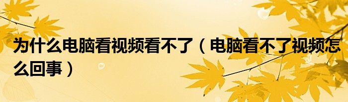 为什么电脑看视频看不了(电脑看不了视频怎么回事)