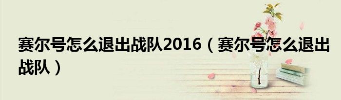 赛尔号怎么退出战队2016(赛尔号怎么退出战队)