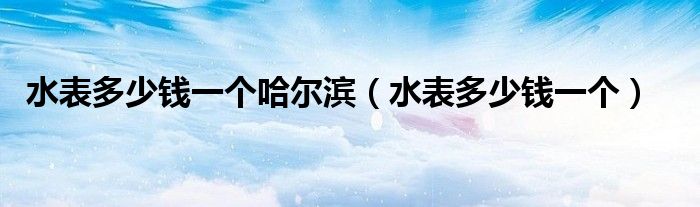 水表多少钱一个哈尔滨(水表多少钱一个)