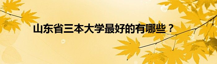 山东省三本大学最好的有哪些?