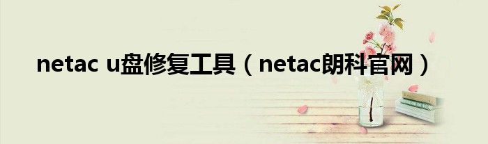 netac u盘修复工具(netac朗科官网)