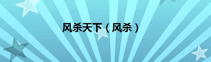 风杀天下（风杀）